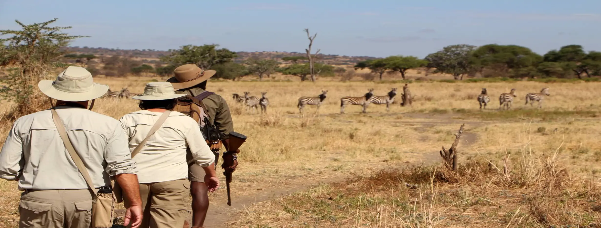 Image for Safari Expedition